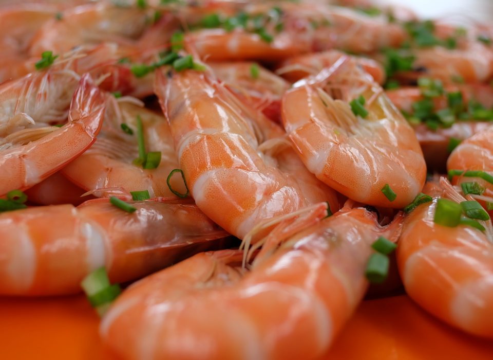 Freezer em dia: Frutos do mar