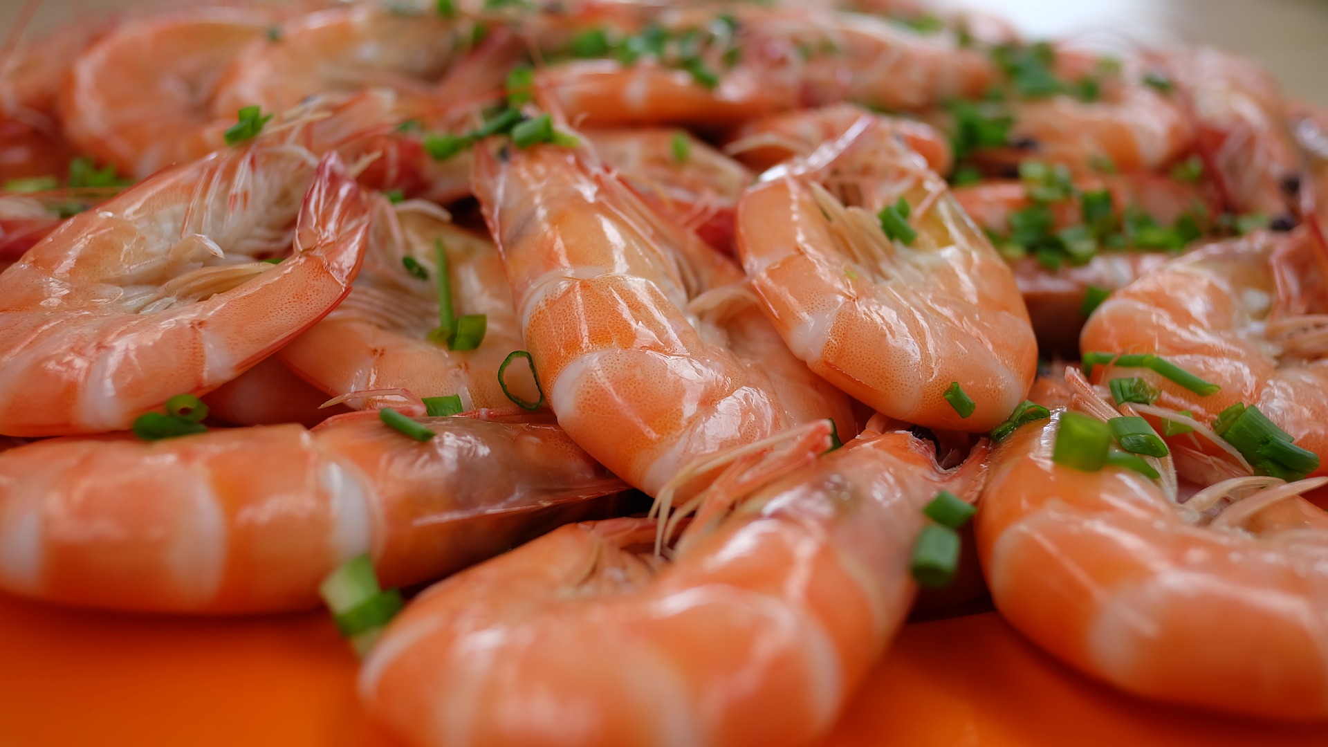 Freezer em dia: Frutos do mar