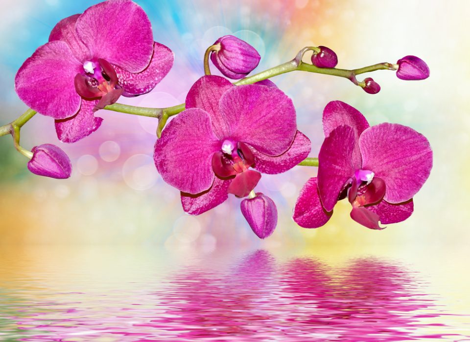 Tendências da decoração para 2014 prometem mix de estilos e cores vibrantes
