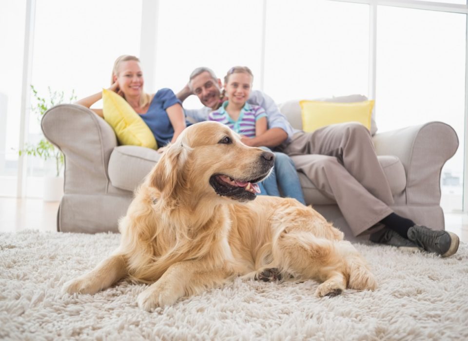 Apartamentos para família: como escolher