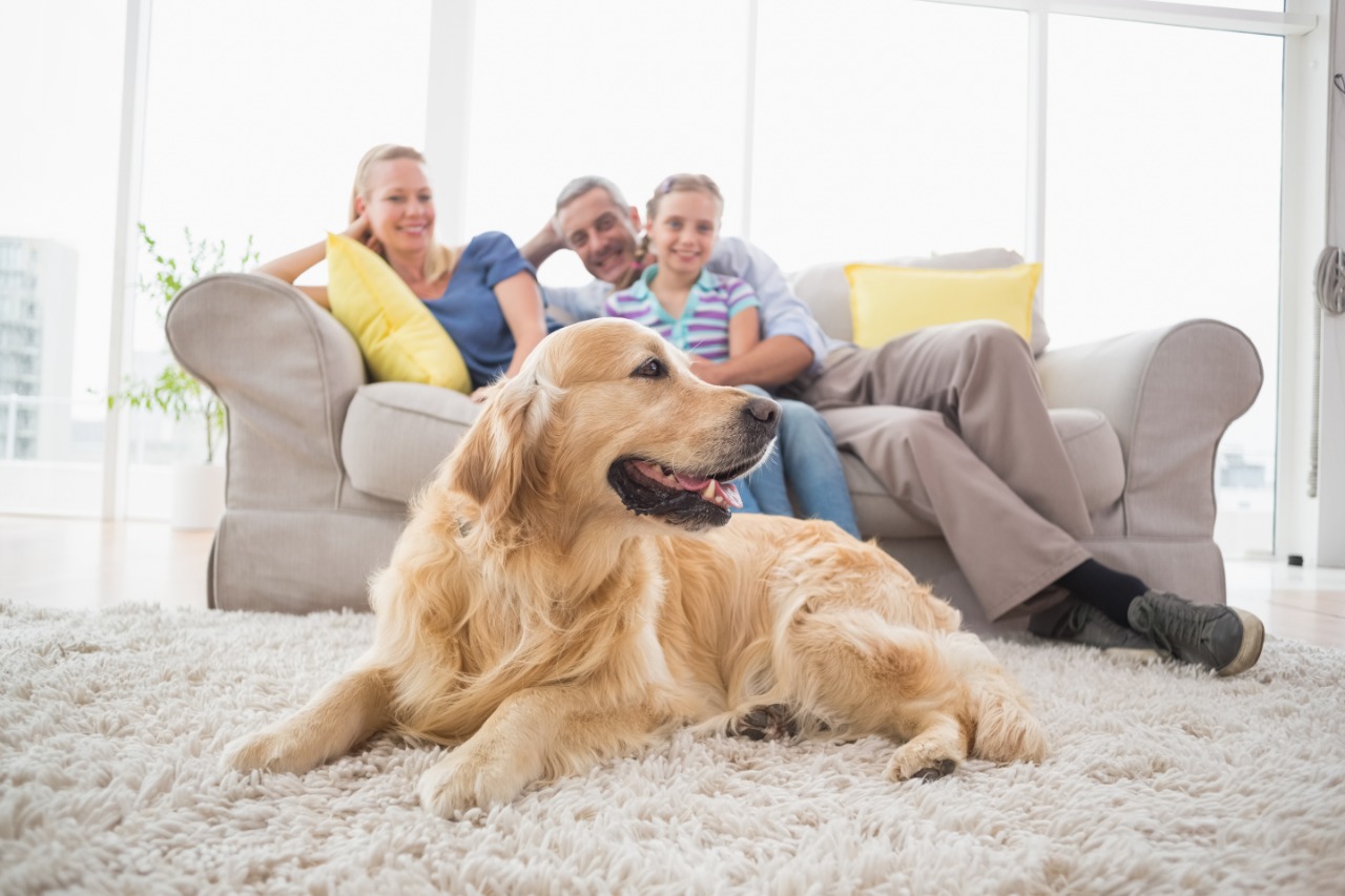 Apartamentos para família: como escolher